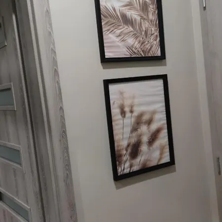 студио Bella Warna